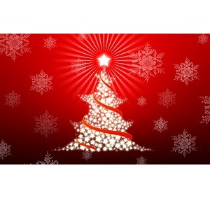 Christmas Holiday Hours Photo for Christmas Holiday Hours